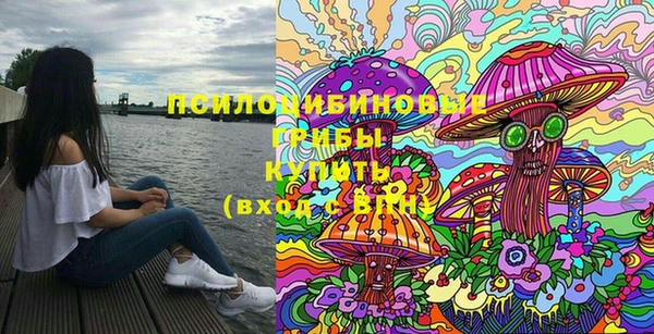 индика Наволоки