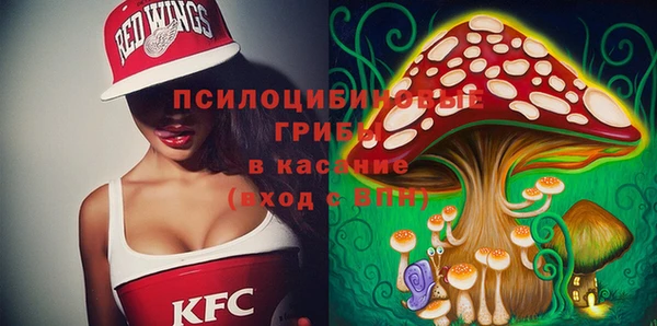 индика Наволоки